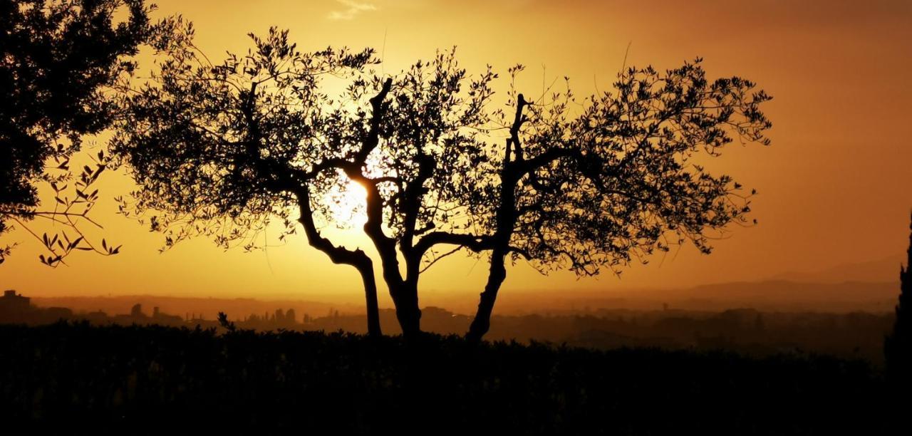San Romano  Agriturismo Cascina Cipressa מראה חיצוני תמונה