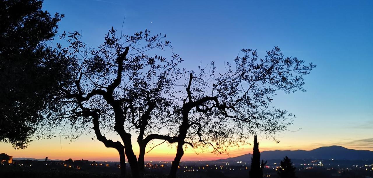 San Romano  Agriturismo Cascina Cipressa מראה חיצוני תמונה