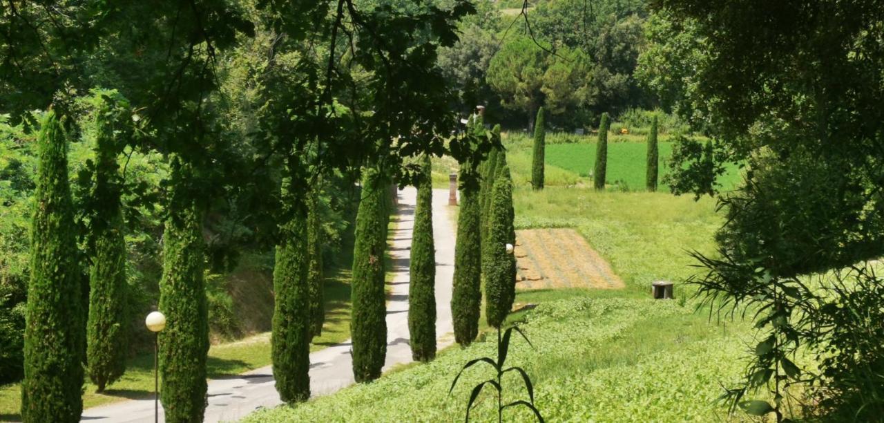 San Romano  Agriturismo Cascina Cipressa מראה חיצוני תמונה