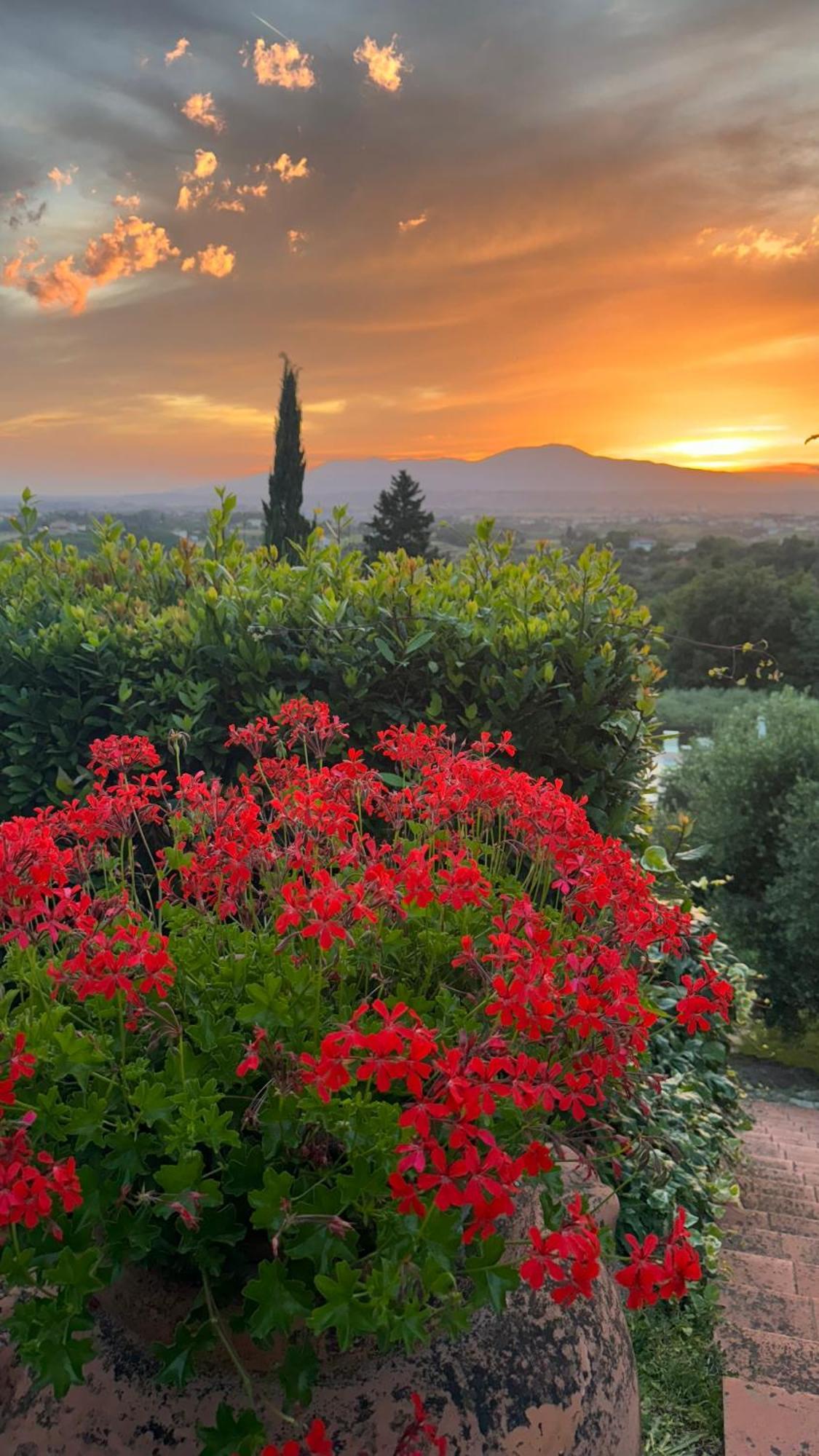 San Romano  Agriturismo Cascina Cipressa מראה חיצוני תמונה