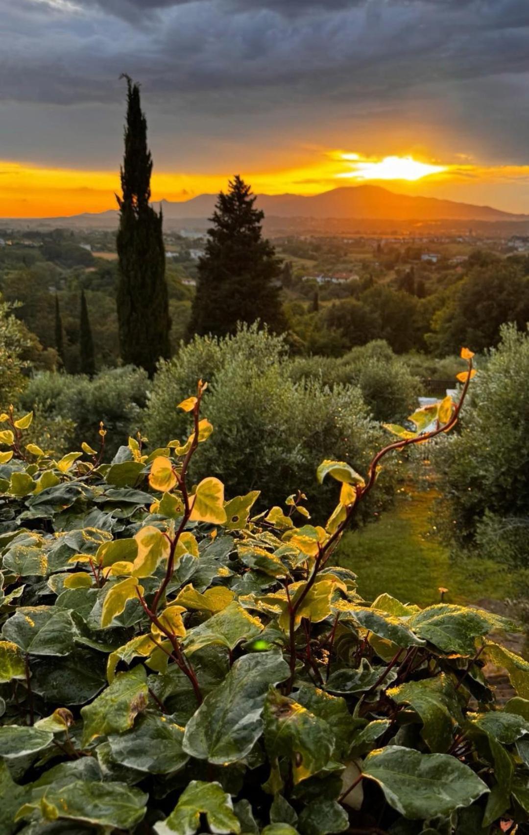 San Romano  Agriturismo Cascina Cipressa מראה חיצוני תמונה