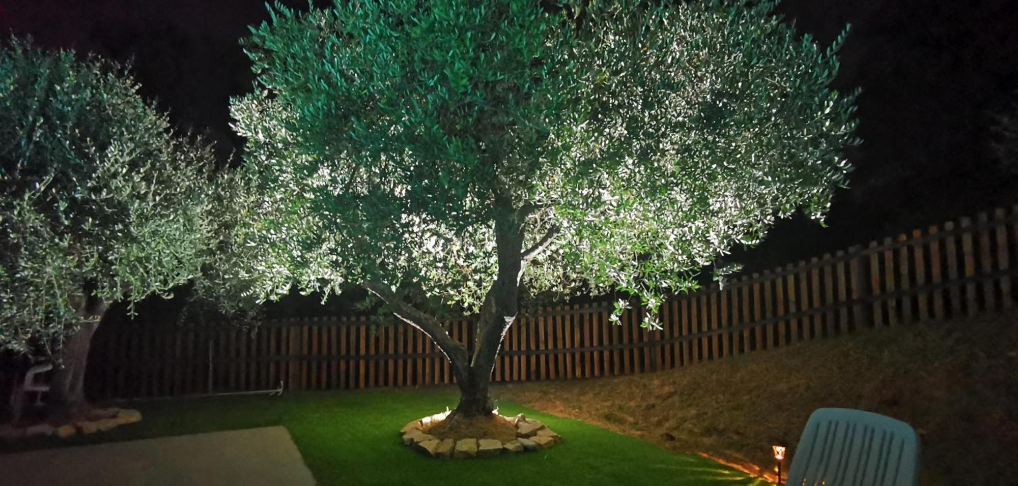 San Romano  Agriturismo Cascina Cipressa מראה חיצוני תמונה