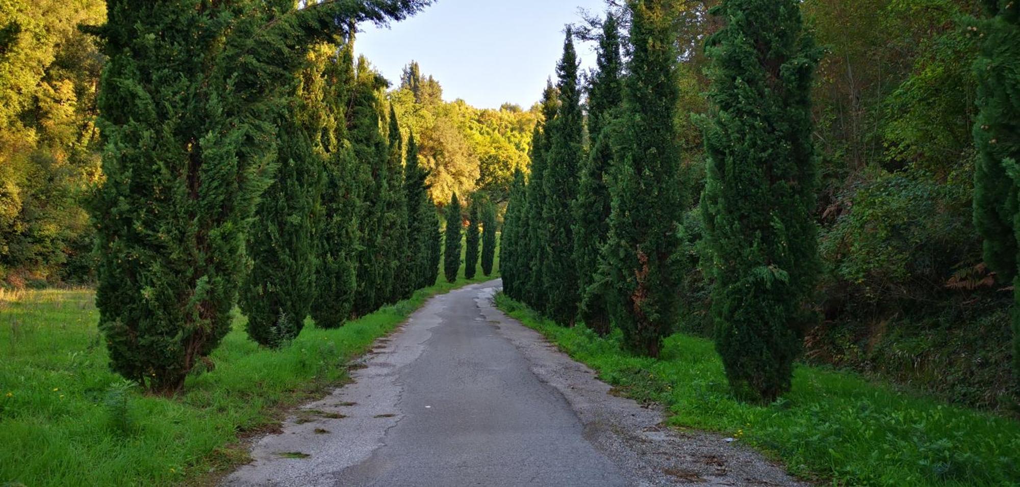 San Romano  Agriturismo Cascina Cipressa מראה חיצוני תמונה